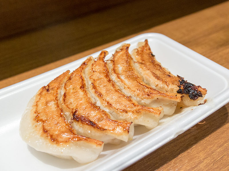 Gyoza On Foam Plate