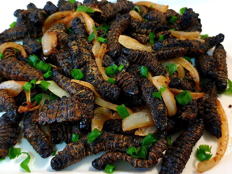 Mopane Worms