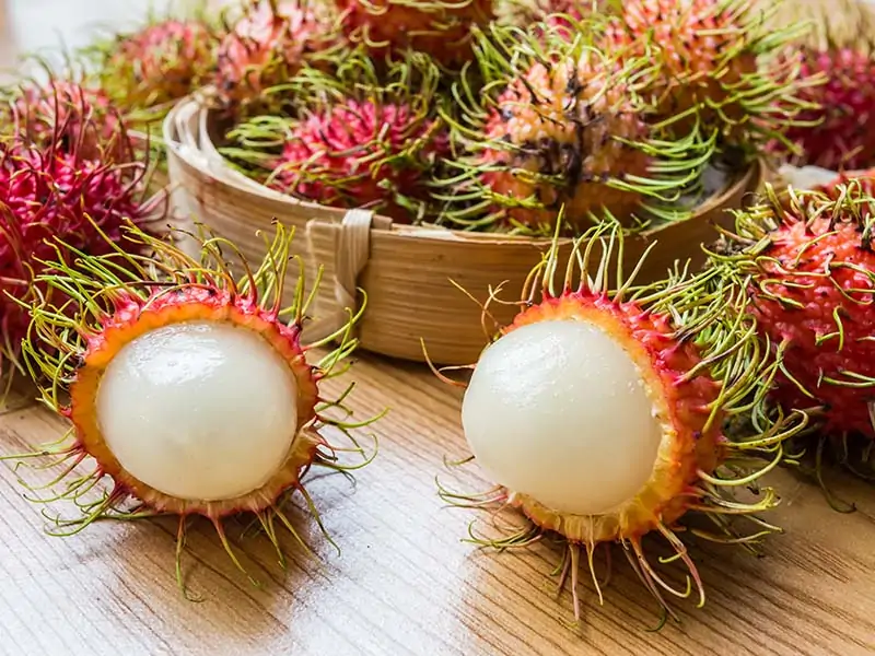 Rambutan Fruit