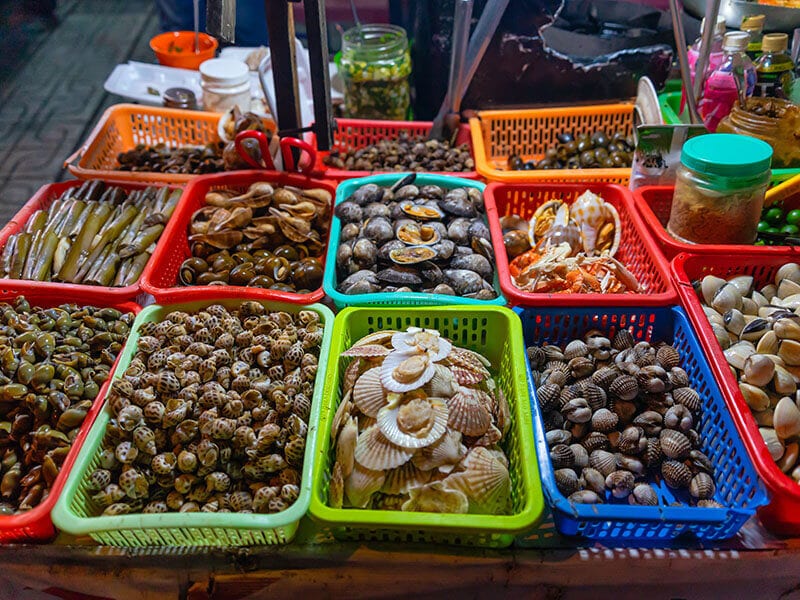 Saigonese Sea Snails