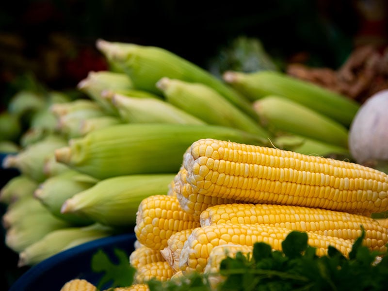 Steamed Corn The Cob