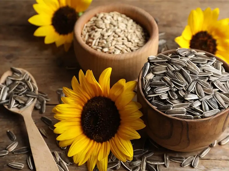 Sunflower Seeds